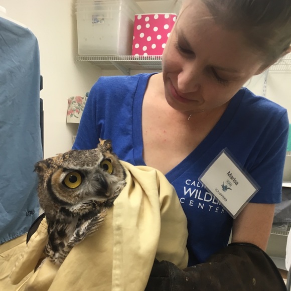 Meet your Posher, Marisa - Picture 5 of 16